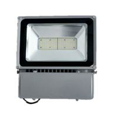 Đèn LED Pha 100W CHUYÊN DÙNG CHO KHO LẠNH